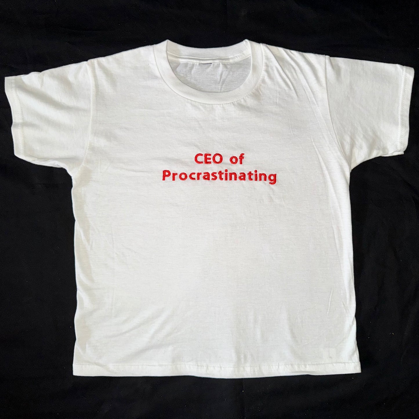 Embroidered 'CEO of Procrastinating' Tee